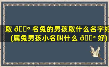 取 🌺 名兔的男孩取什么名字好(属兔男孩小名叫什么 💮 好)